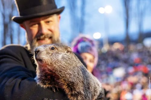 Punxsutawney Phil Sees Shadow, Predicts Six More Weeks of Winter