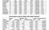 Resistant Fungus Infection Sparks Concerns at the CDC 