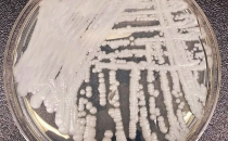 Glide through Winter at the New Downtown Skating Rink