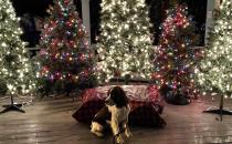 Alexander Elementary School Contacts the World