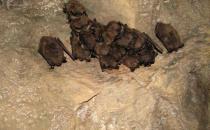 Calais High School Students Pay Tribute with Veterans Assembly