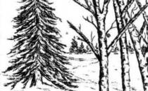 Hunt for Sheds with Downeast Lakes Land Trust