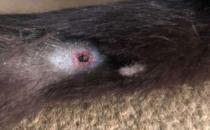 Quilts From The Heart For Hospice