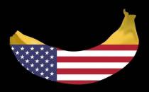 PAWS Continues Adoptions