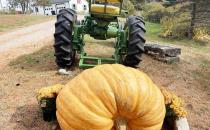 Blue Devils Baseball  Weekly Recap