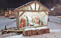 Spring’s Foraged Favorite Returns as Fiddleheads Pop Up