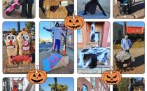 Downeast Day on the Ice to Bring Many Winter Activities