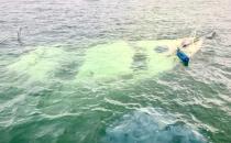 Washington County Volunteers Receive Appreciation Pin from Girl Scouts of Maine