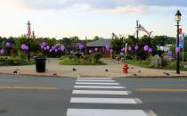 Local Businesses Bring Life to Empty Storefronts 