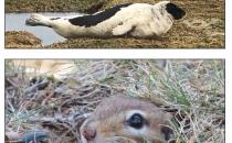 Artist Hosts Painting Retreat in Lubec