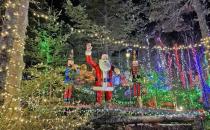 Semi-Random Post-Election Notes